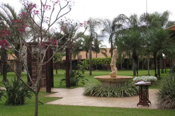 Jardim com fonte de pedra e palmeiras